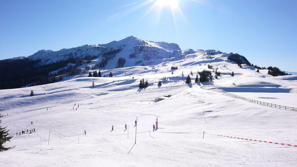 Ferienwohnung Blick Auf Die Berge Pidingerau Exterior foto